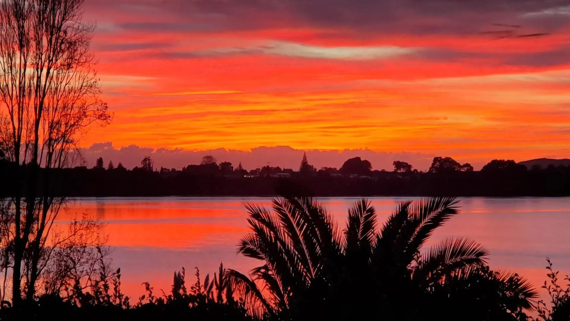 The Sustainable House - Tauranga Holiday Home