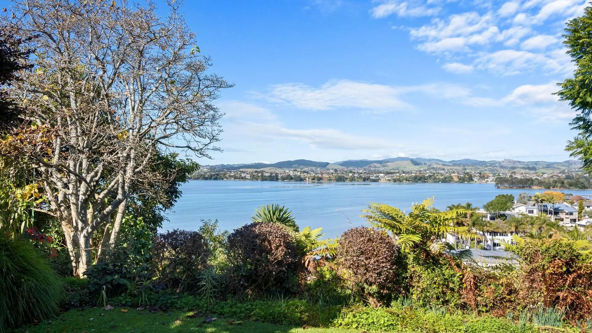 The Sustainable House - Tauranga Holiday Home New Zealand